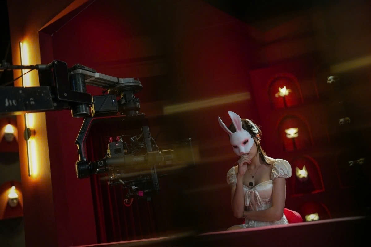 "Bunny" set for screening in many countries and territories worldwide